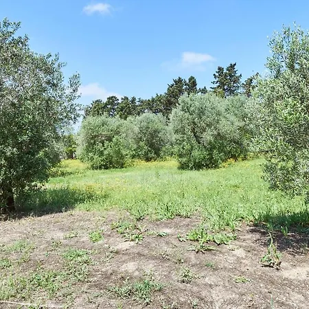 Luminosa Appartamento *